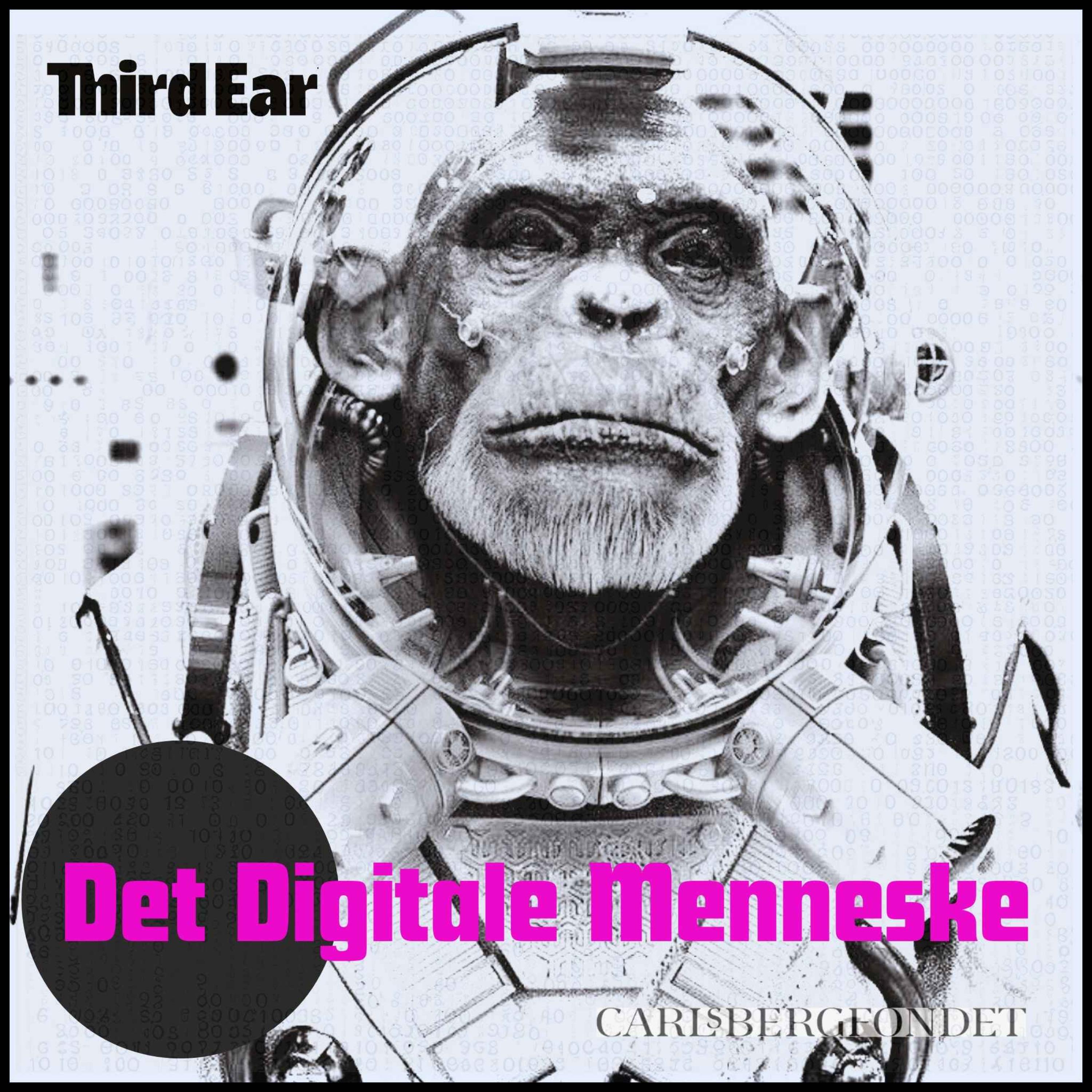 Det Digitale Menneske: Hvad er problemet?